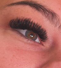 Load image into Gallery viewer, Classic Hybrid & Russian Combined