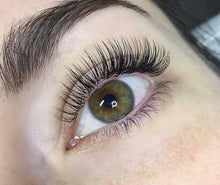 Load image into Gallery viewer, Classic Hybrid & Russian Combined